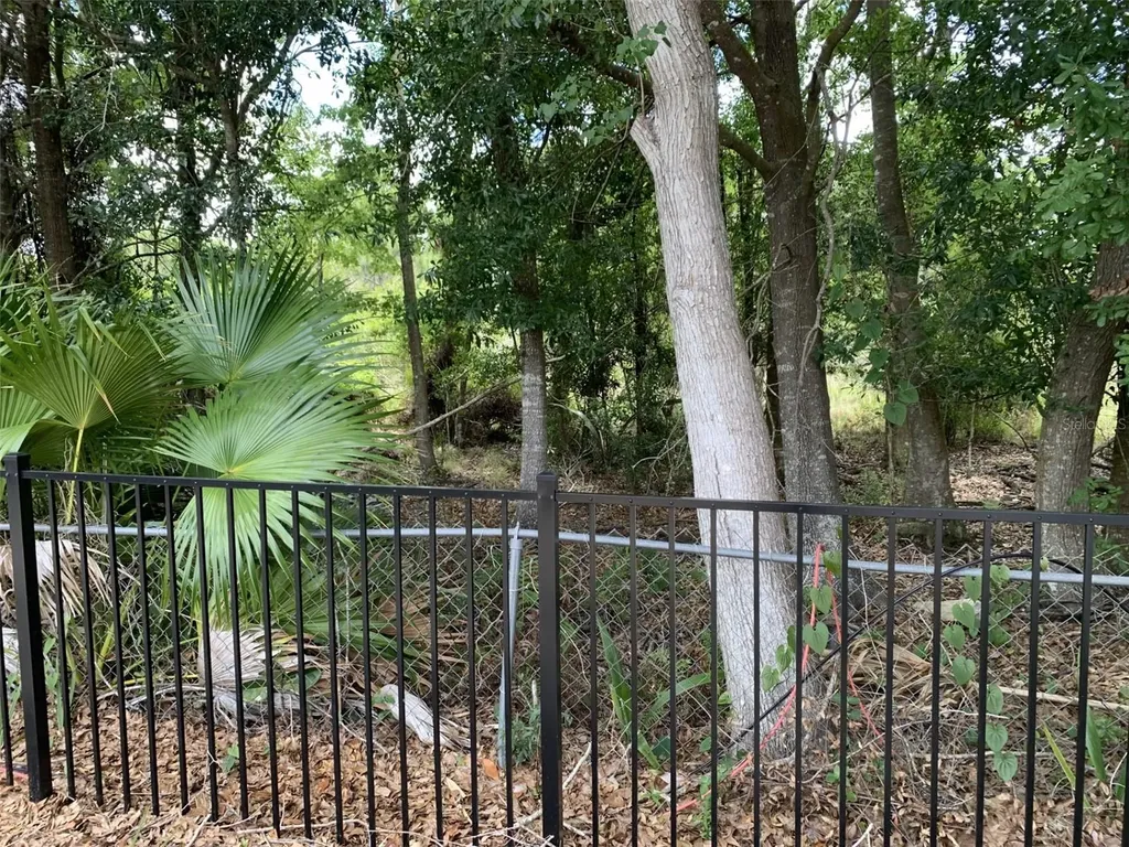 12448 Braxted Drive Orlando FL 32837