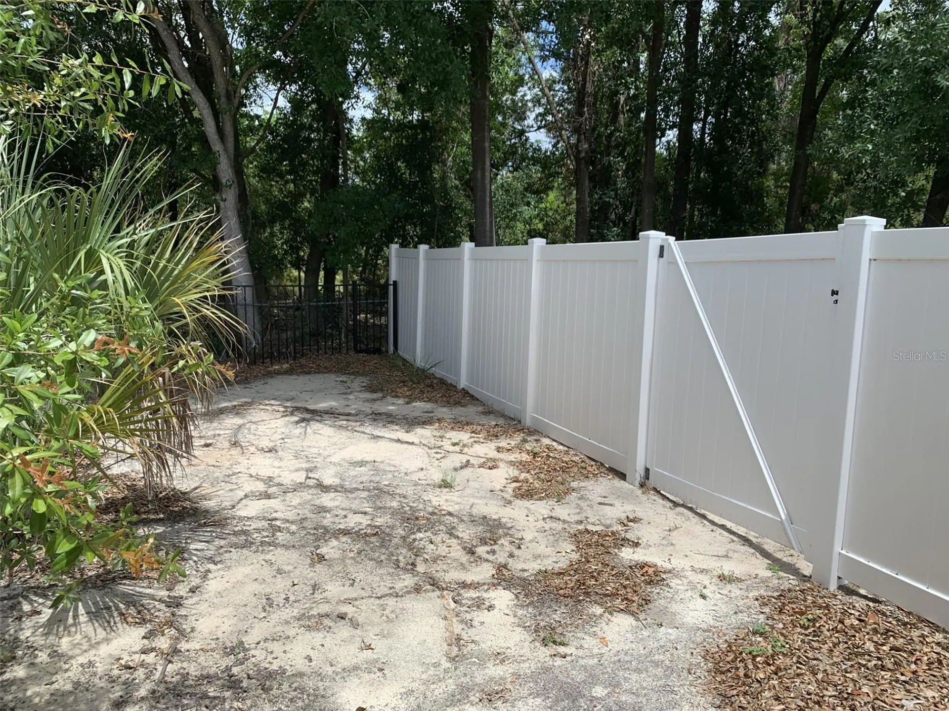 12448 Braxted Drive Orlando FL 32837
