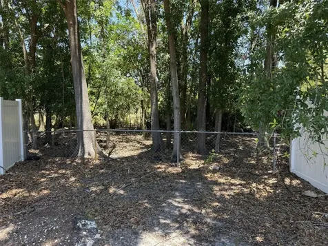 12448 Braxted Drive Orlando FL 32837