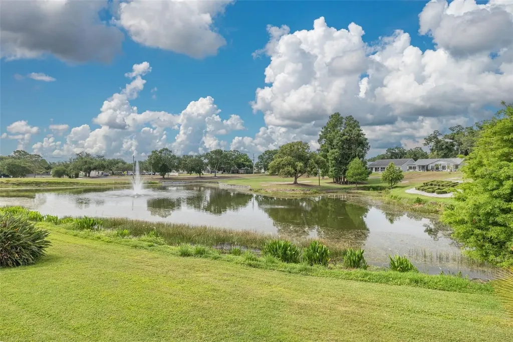 1478 Wicklow Drive Palm Harbor FL 34684
