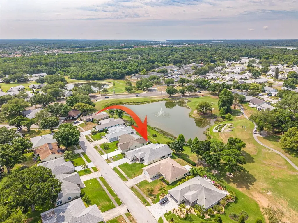 1478 Wicklow Drive Palm Harbor FL 34684