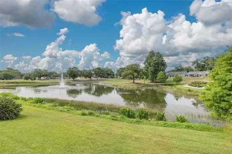 1478 Wicklow Drive Palm Harbor FL 34684