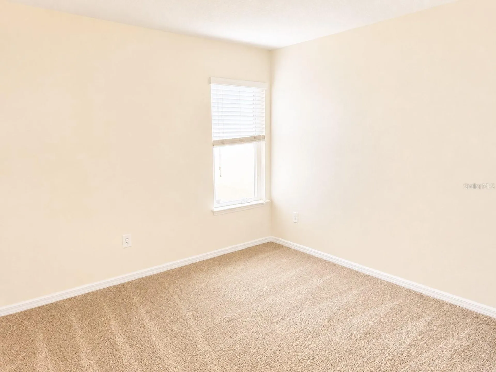 2119 Lennox Dale Lane Brandon FL 33510