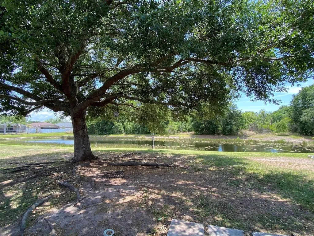 13263 Evening Sunset Lane Riverview FL 33579