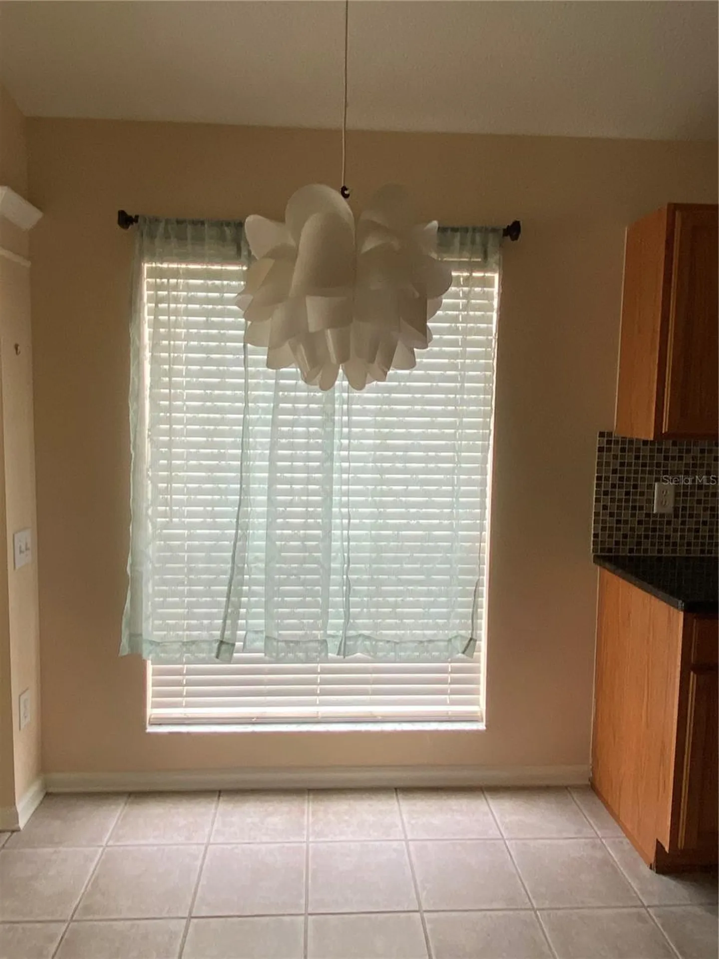 13263 Evening Sunset Lane Riverview FL 33579