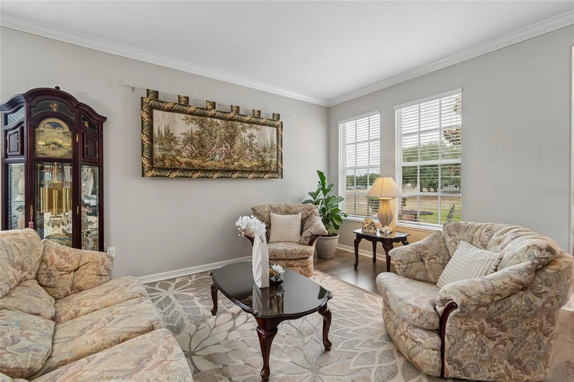 4121 Balington Drive Valrico FL 33596