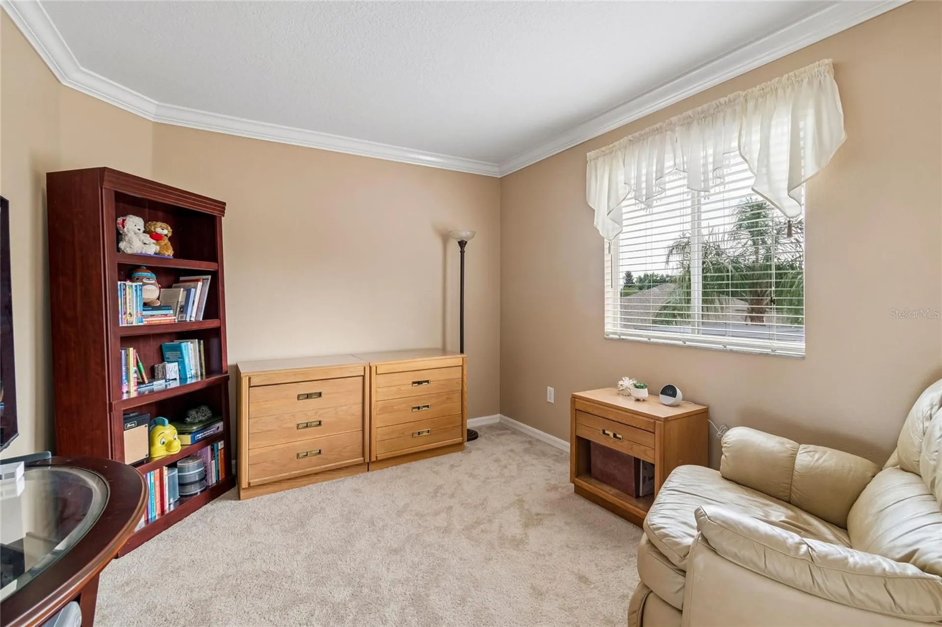 4121 Balington Drive Valrico FL 33596