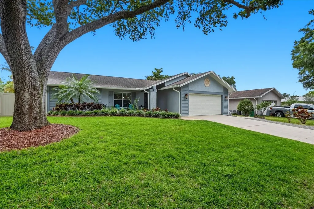 5015 Bridgeport Drive Safety Harbor FL 34695