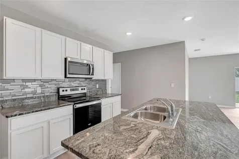 17038 Wave Tressle Place Wimauma FL 33598