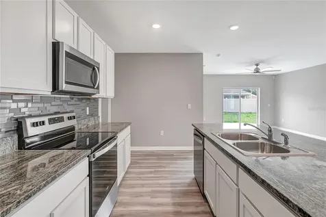 17038 Wave Tressle Place Wimauma FL 33598