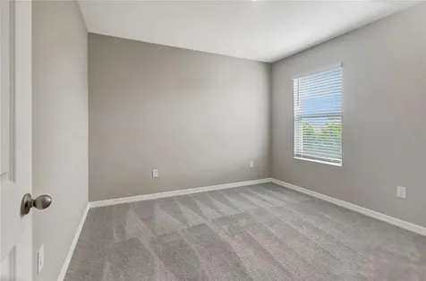 17038 Wave Tressle Place Wimauma FL 33598