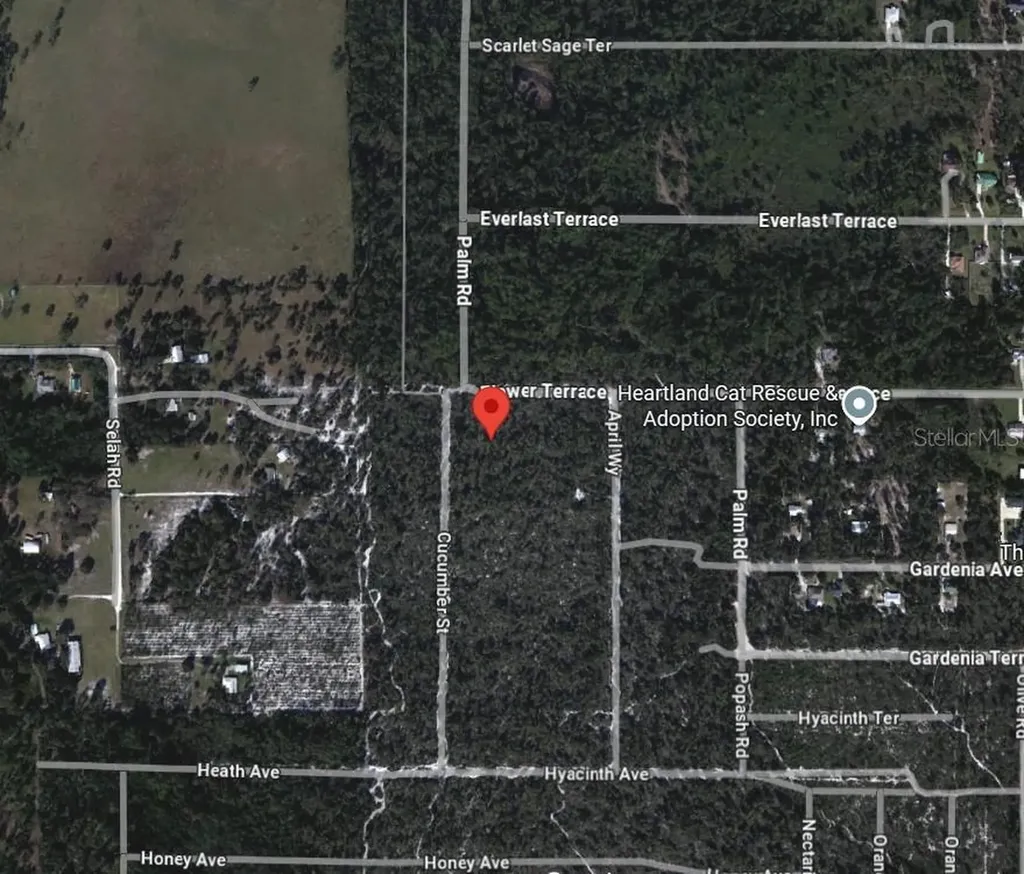 5306 Cucumber Street Sebring FL 33875