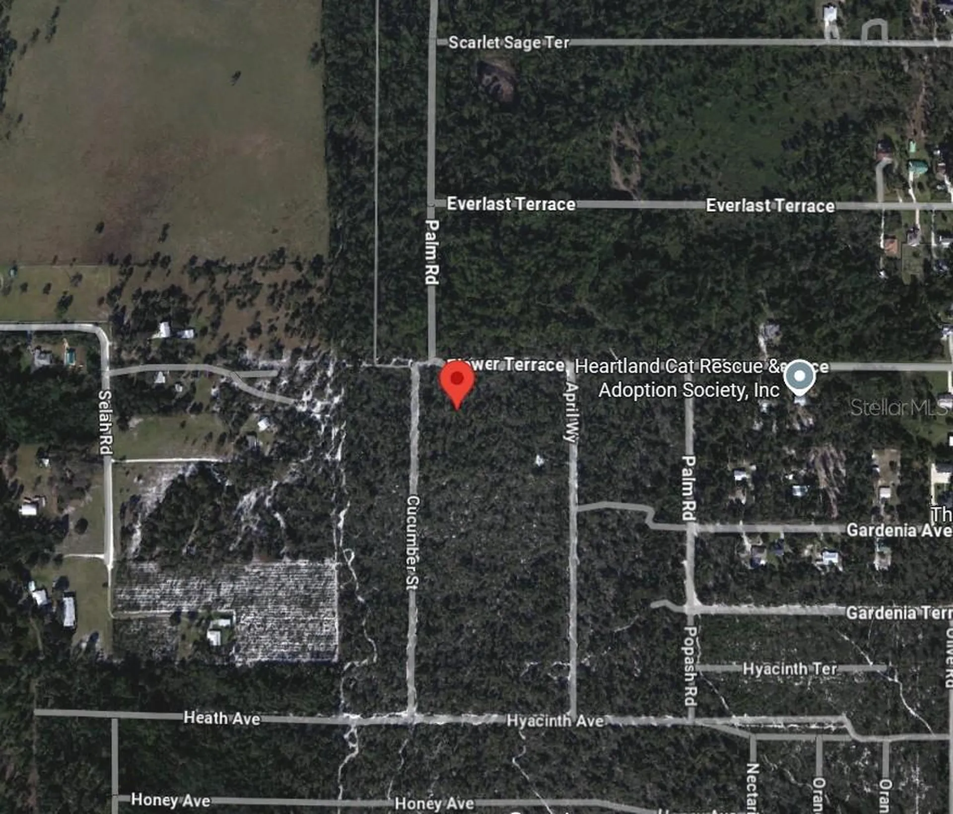 5306 Cucumber Street Sebring FL 33875