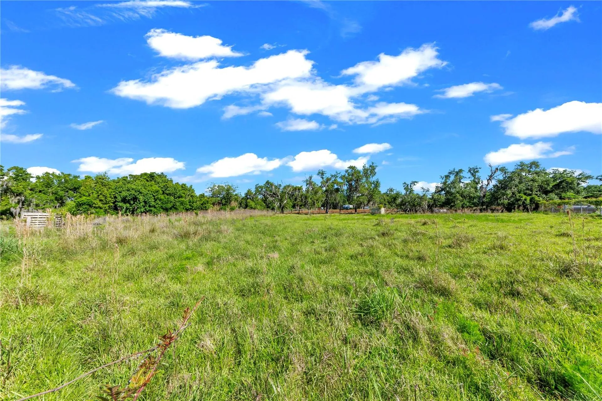 13610 Acker Road Dover FL 33527