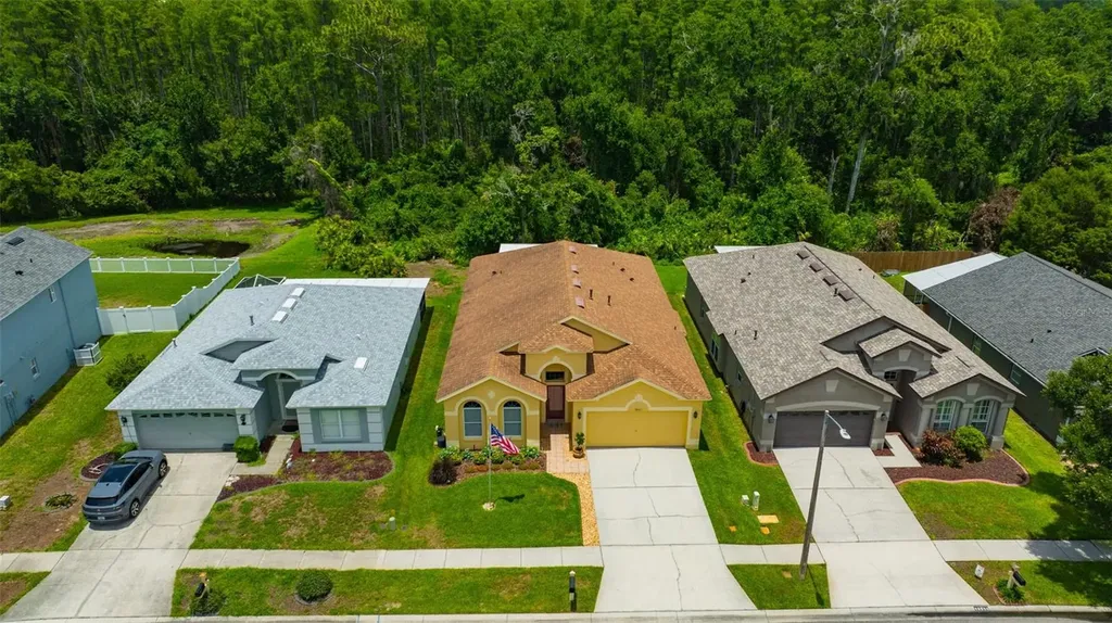 19507 Ardwick Way Land O Lakes FL 34638