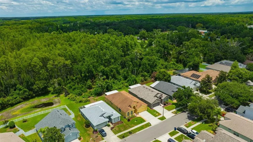 19507 Ardwick Way Land O Lakes FL 34638