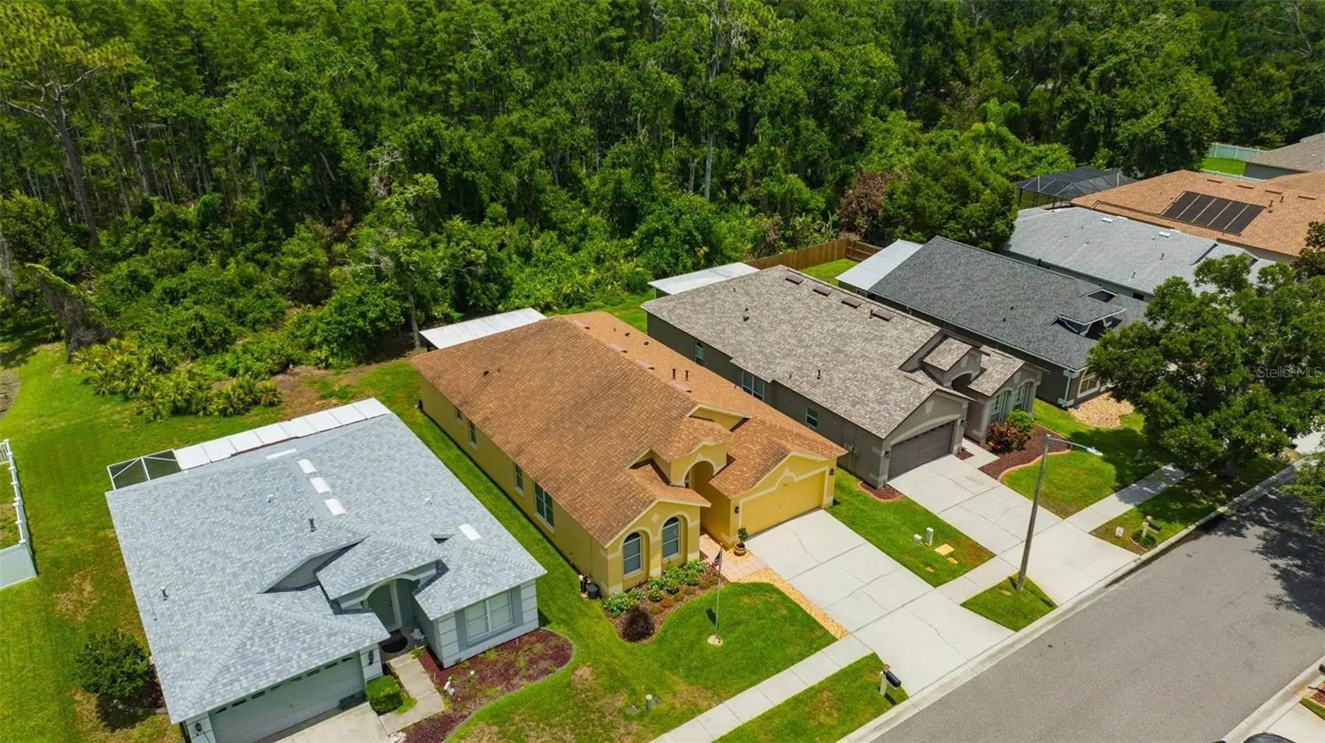 19507 Ardwick Way Land O Lakes FL 34638