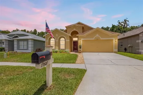 19507 Ardwick Way Land O Lakes FL 34638
