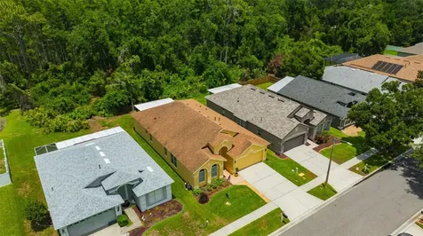 19507 Ardwick Way Land O Lakes FL 34638