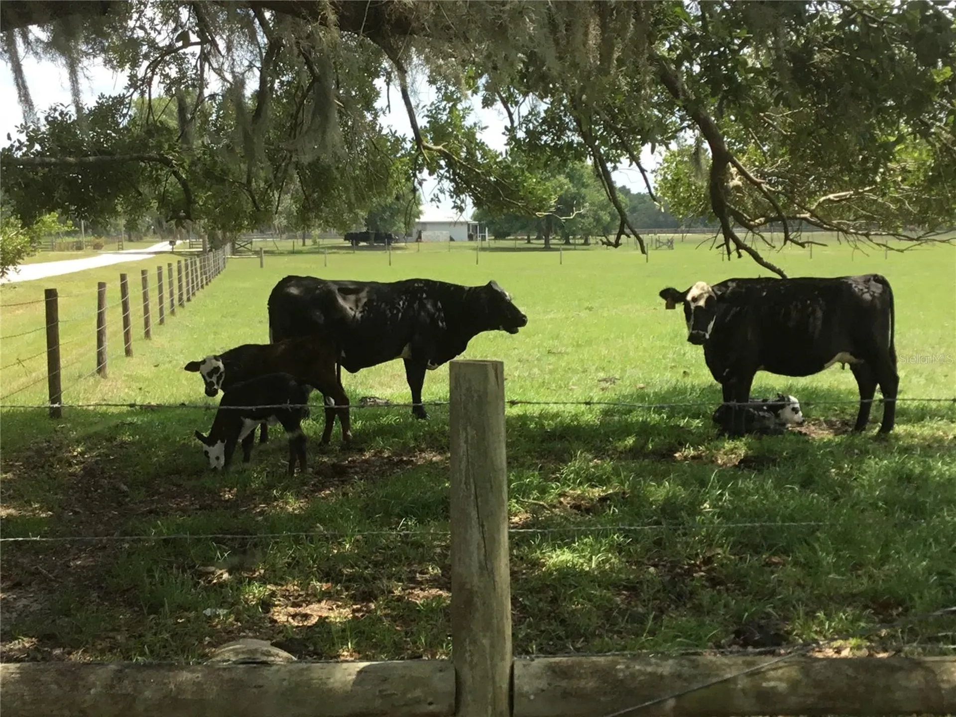 4090 Carlton Road Sarasota FL 34240