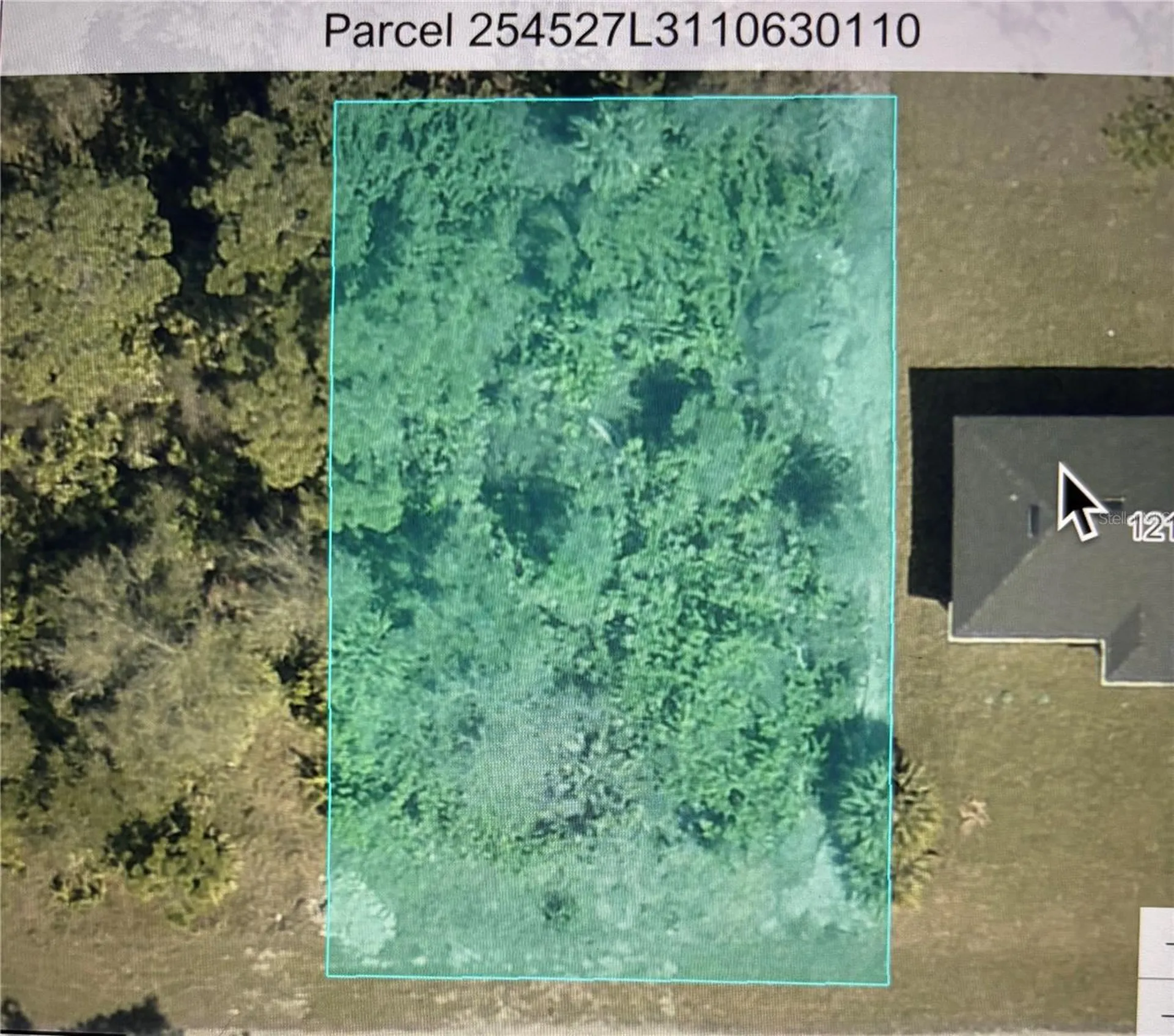 1217 Ecstasy Street E Lehigh Acres FL 33974