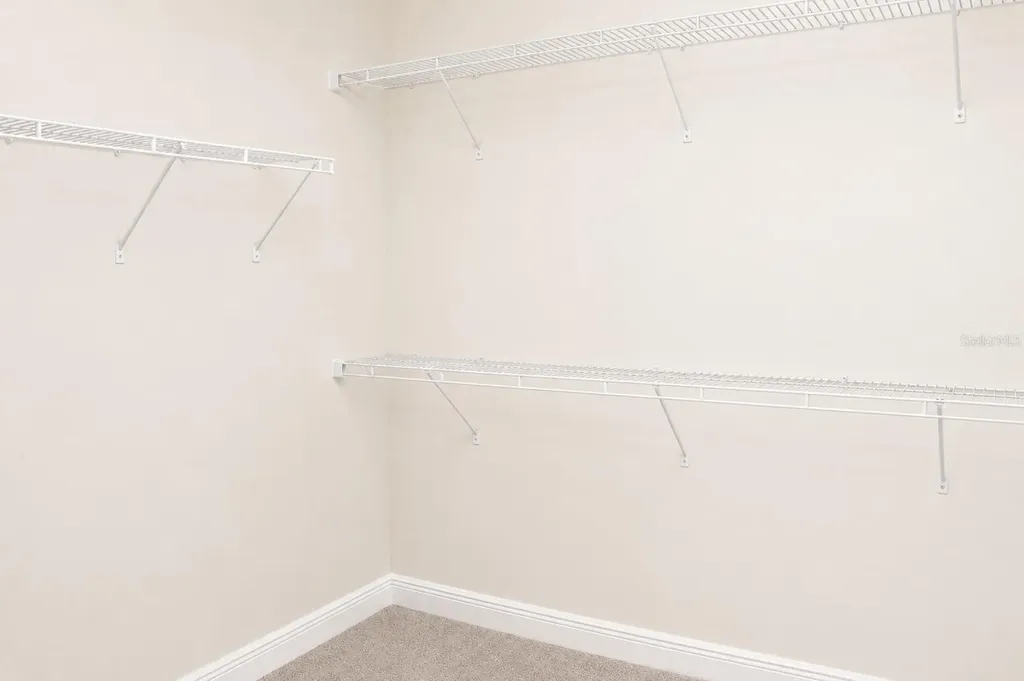 6206 Scarlet Darter Way Tampa FL 33625