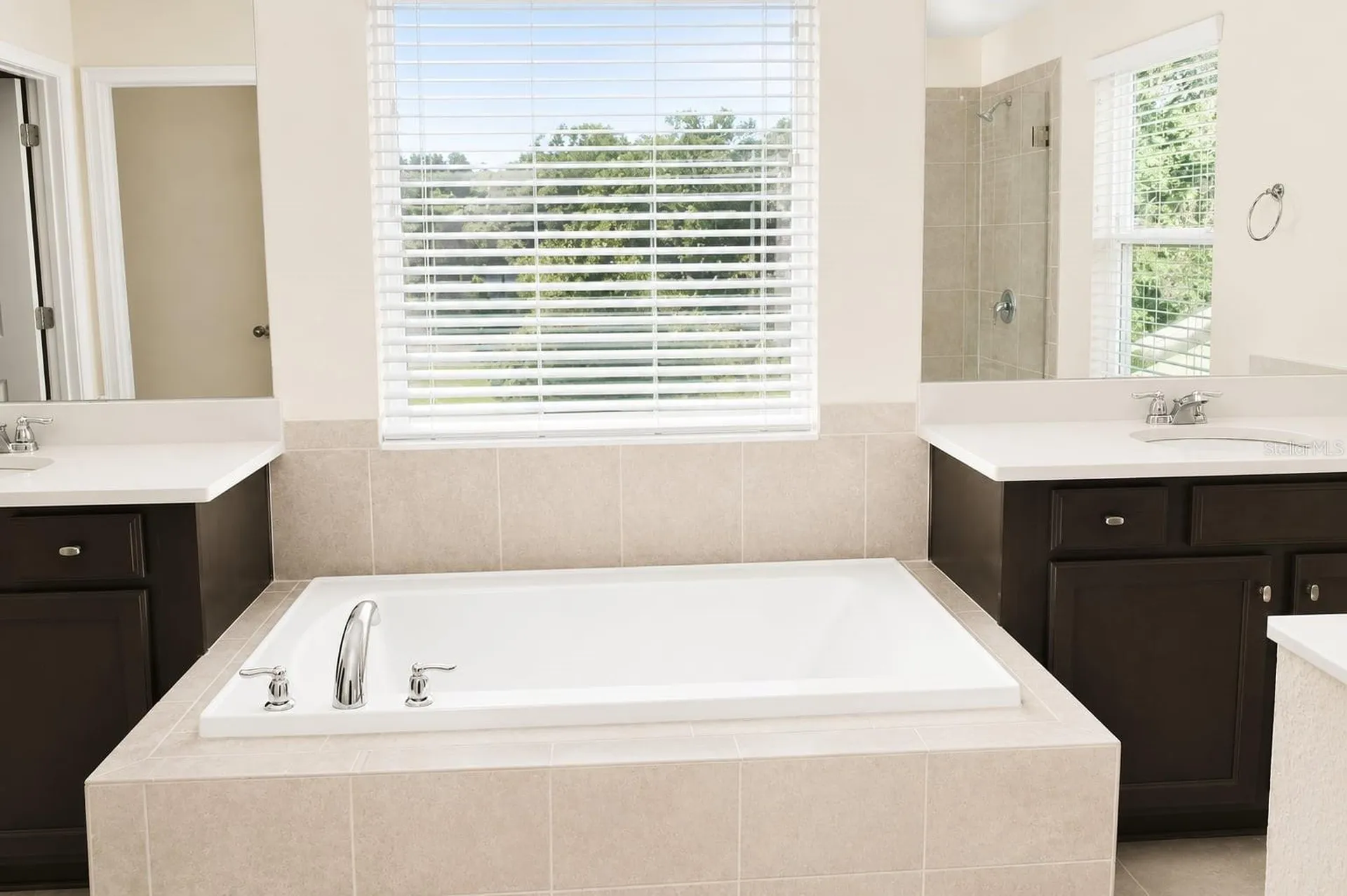 6206 Scarlet Darter Way Tampa FL 33625