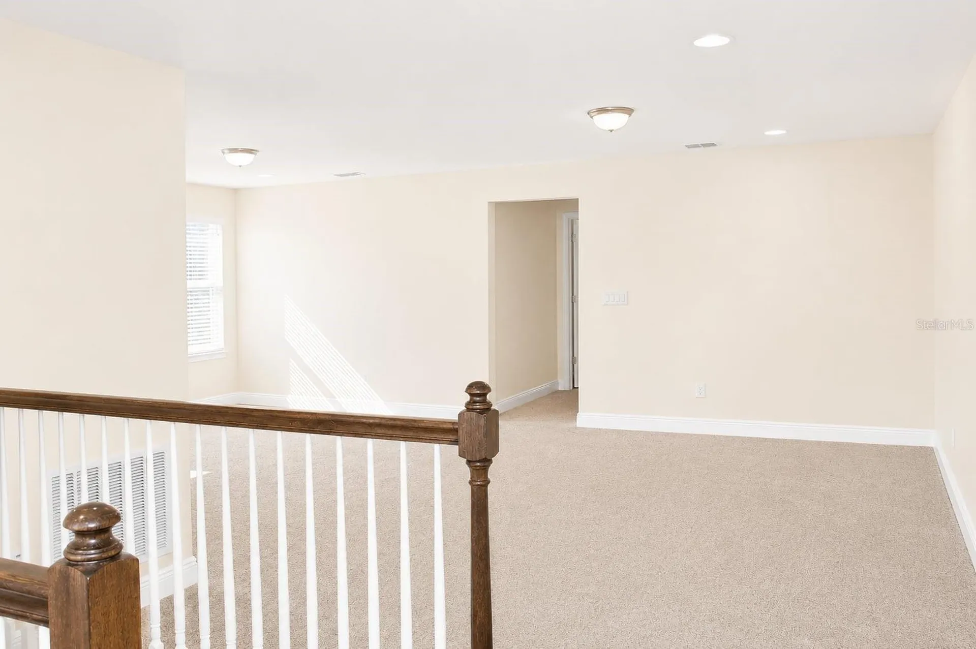 6206 Scarlet Darter Way Tampa FL 33625