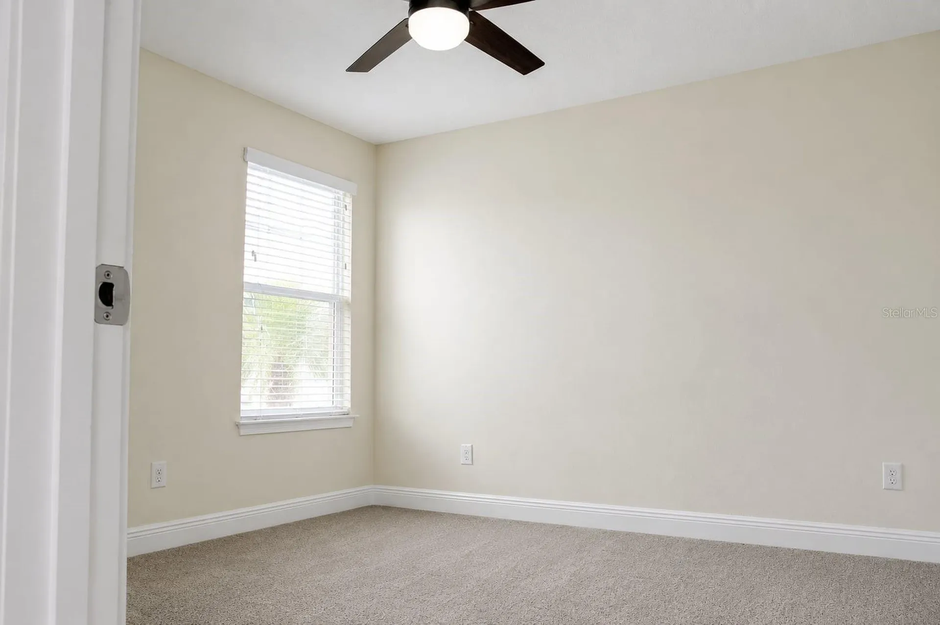 6206 Scarlet Darter Way Tampa FL 33625