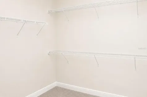6206 Scarlet Darter Way Tampa FL 33625