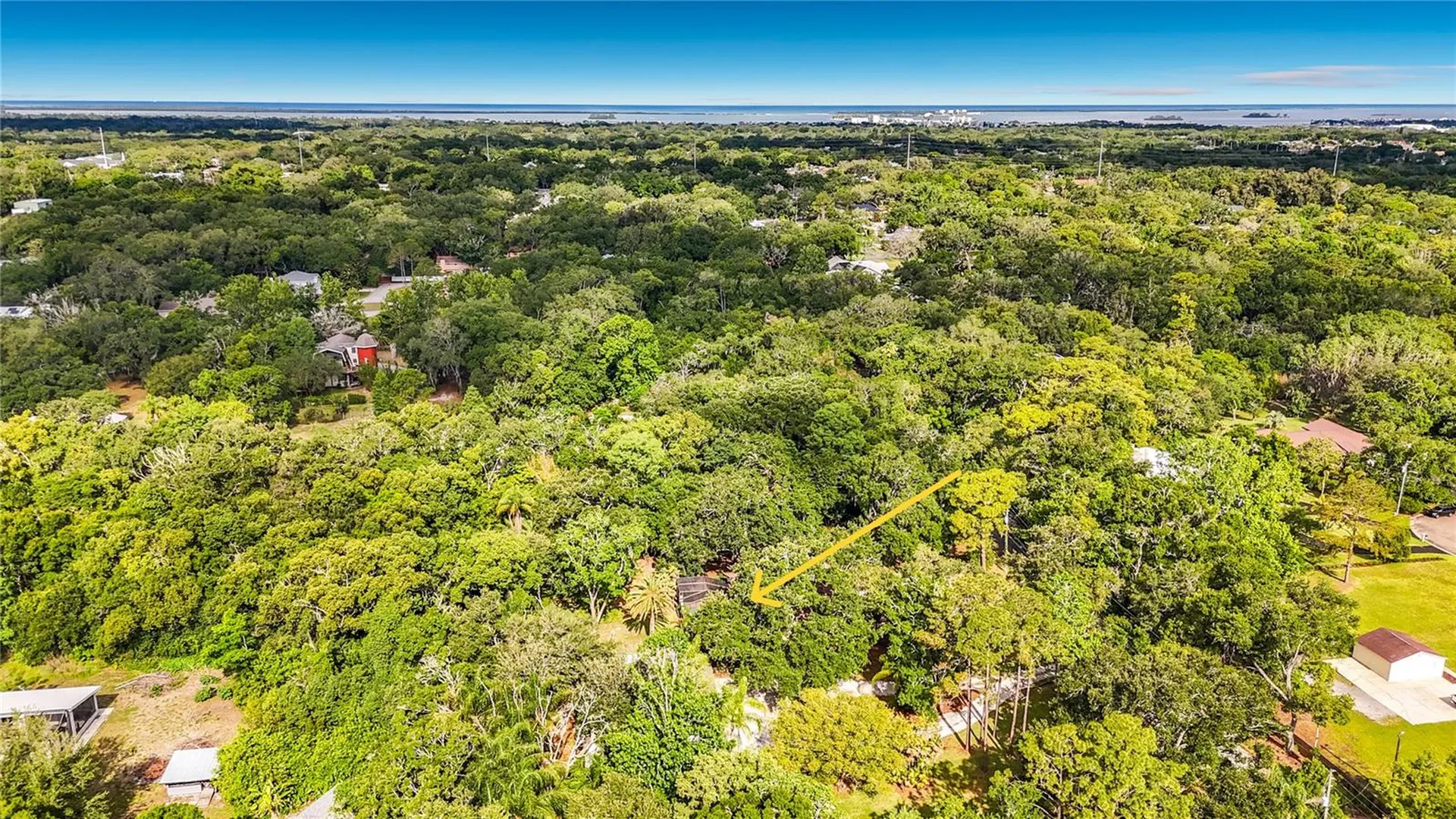 2065 Brady Drive Dunedin FL 34698