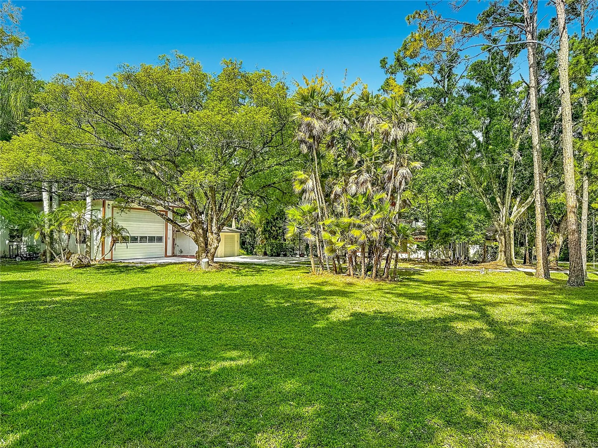 2065 Brady Drive Dunedin FL 34698