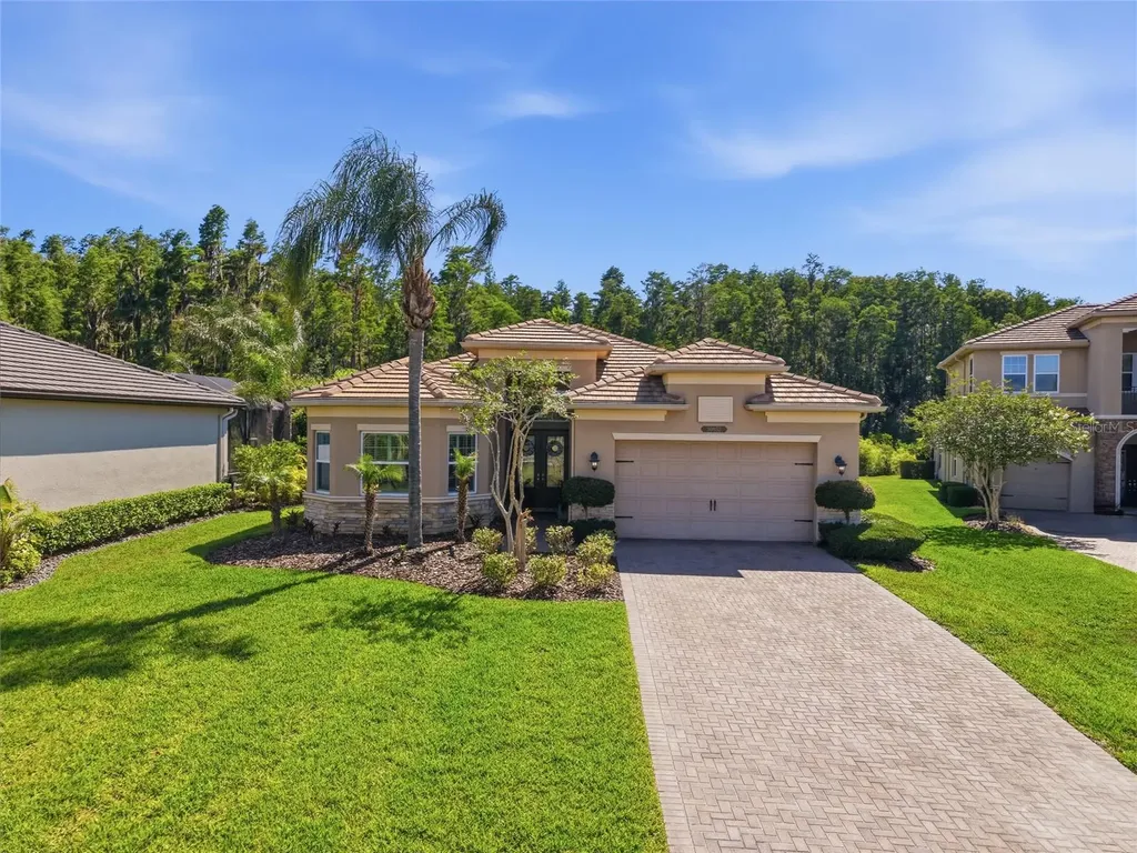 30852 Spruceberry Court Wesley Chapel FL 33543