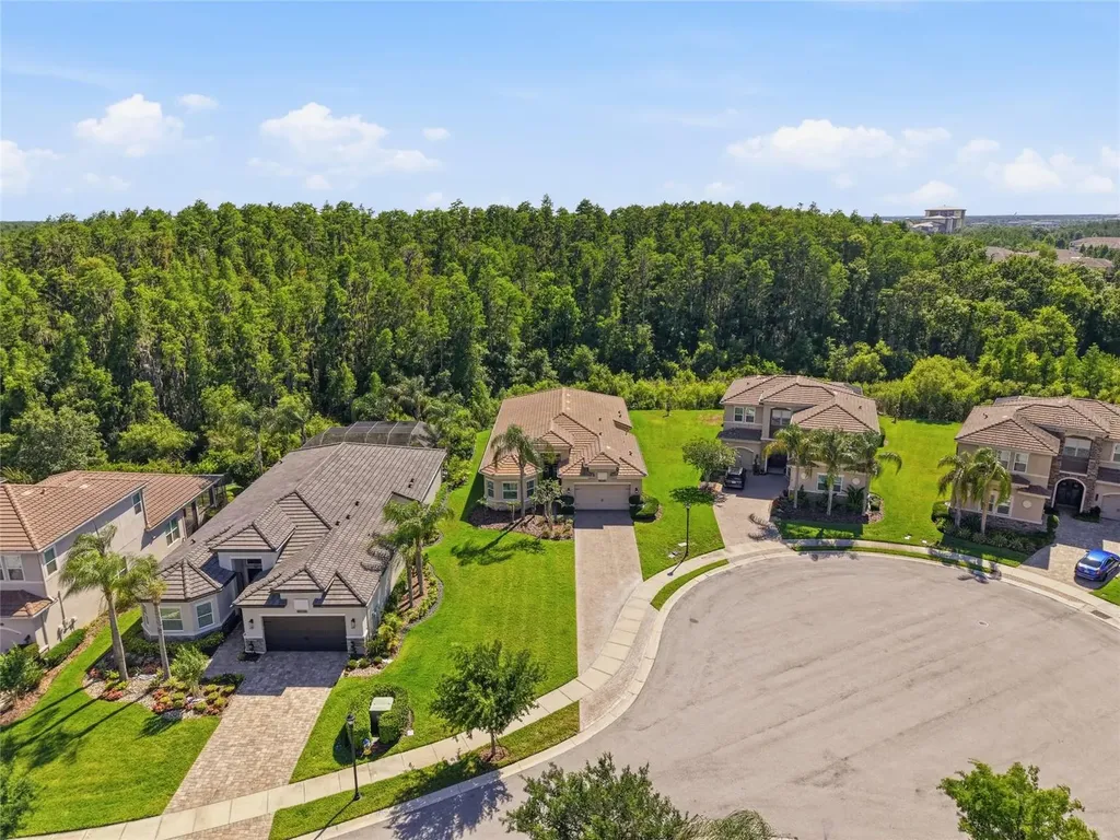 30852 Spruceberry Court Wesley Chapel FL 33543