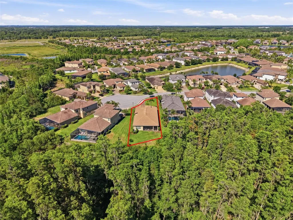 30852 Spruceberry Court Wesley Chapel FL 33543