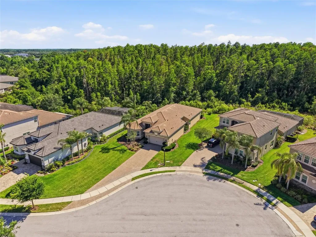 30852 Spruceberry Court Wesley Chapel FL 33543