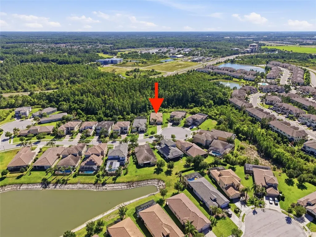30852 Spruceberry Court Wesley Chapel FL 33543