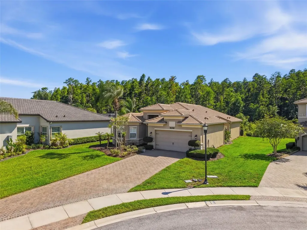 30852 Spruceberry Court Wesley Chapel FL 33543
