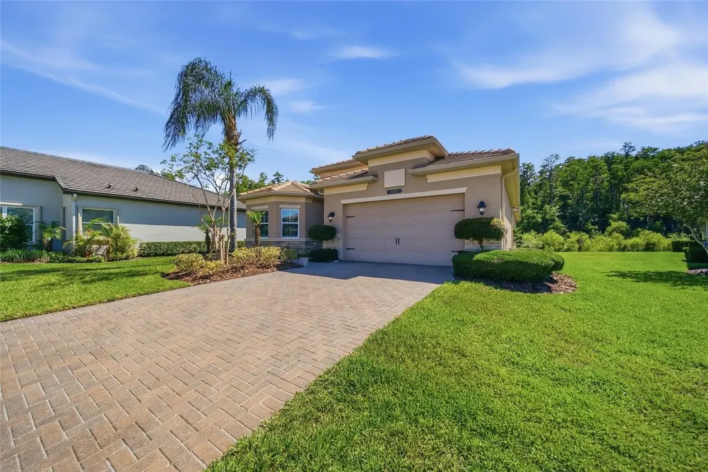 30852 Spruceberry Court Wesley Chapel FL 33543