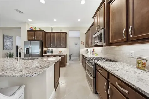 30852 Spruceberry Court Wesley Chapel FL 33543