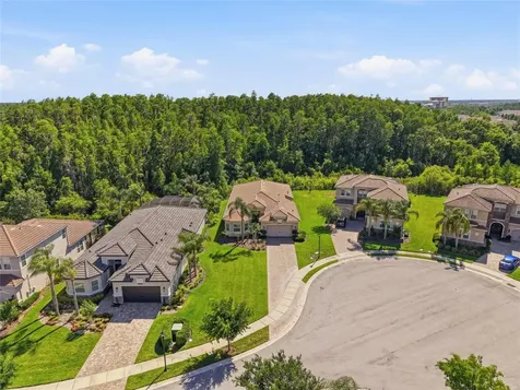 30852 Spruceberry Court Wesley Chapel FL 33543