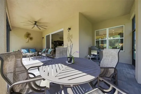 30852 Spruceberry Court Wesley Chapel FL 33543