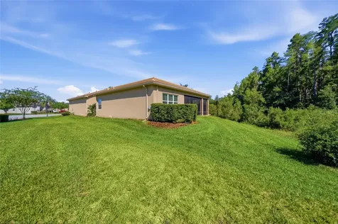 30852 Spruceberry Court Wesley Chapel FL 33543