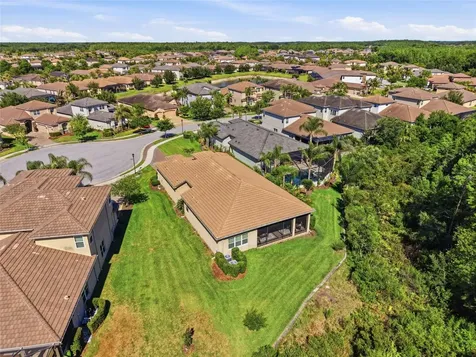 30852 Spruceberry Court Wesley Chapel FL 33543