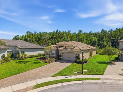 30852 Spruceberry Court Wesley Chapel FL 33543