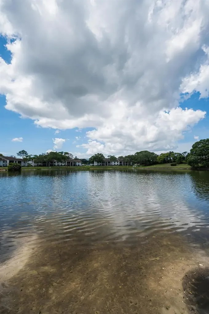 1870 Pine Ridge Way W Palm Harbor FL 34684