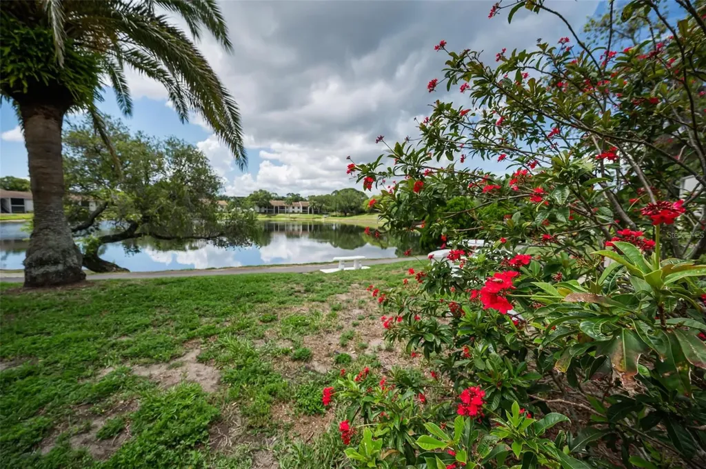 1870 Pine Ridge Way W Palm Harbor FL 34684