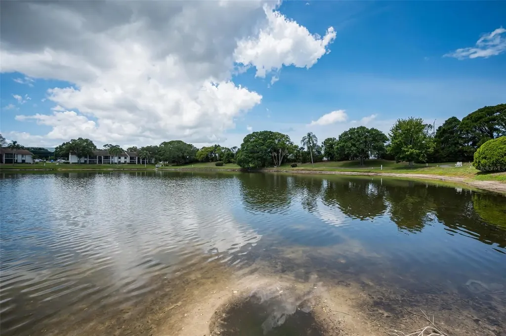 1870 Pine Ridge Way W Palm Harbor FL 34684
