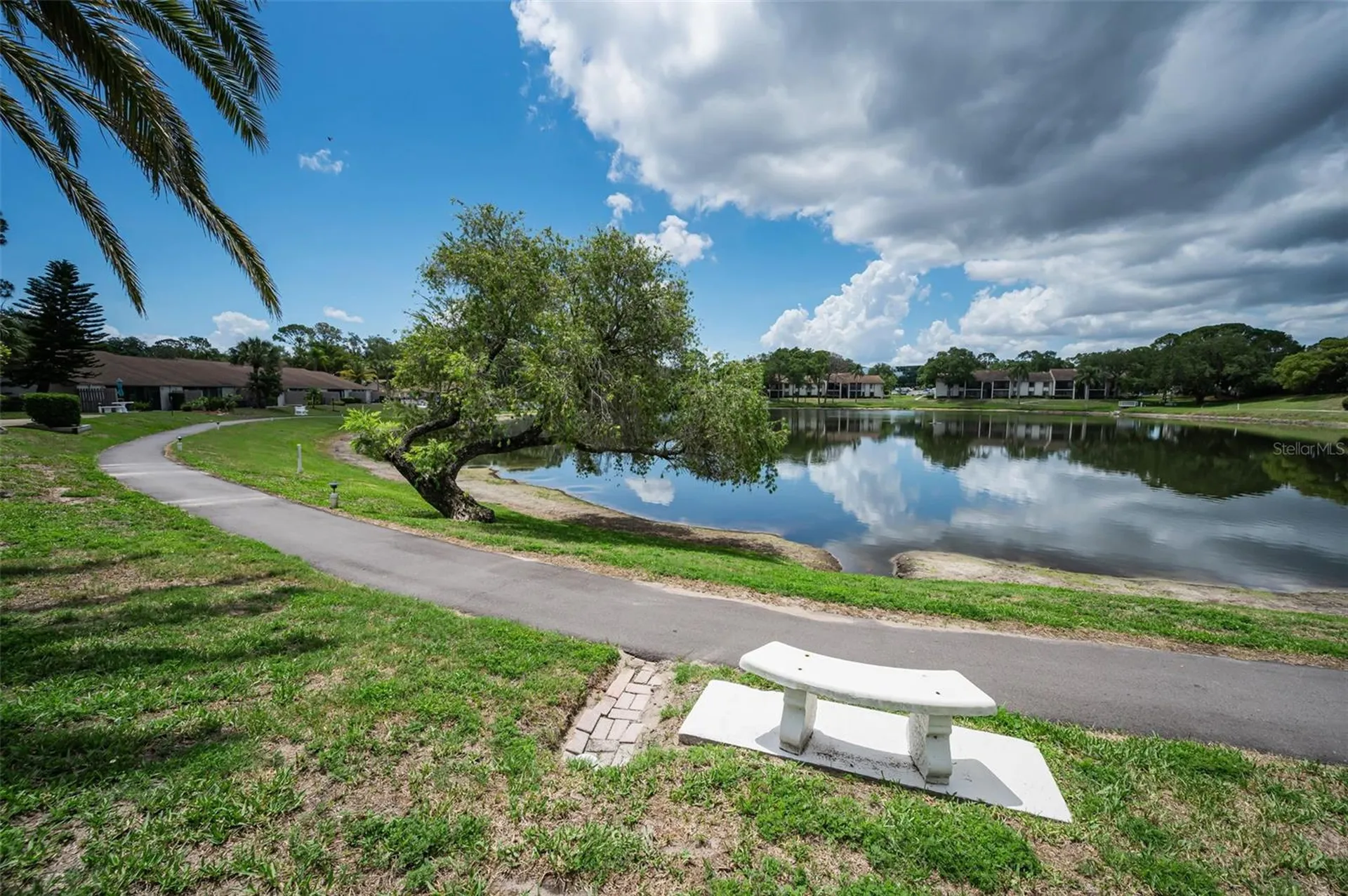 1870 Pine Ridge Way W Palm Harbor FL 34684