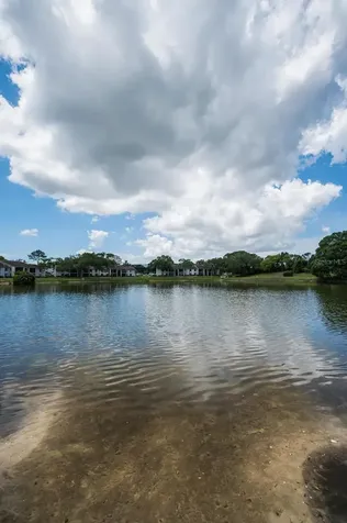 1870 Pine Ridge Way W Palm Harbor FL 34684